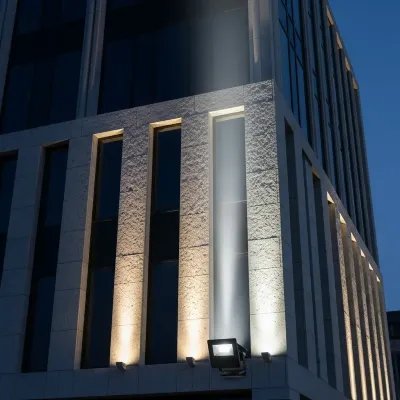 Architectural Flood Light 100W